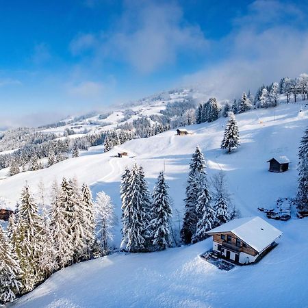 Chalet Alpenherz Villa Kirchberg in Tirol Exterior photo