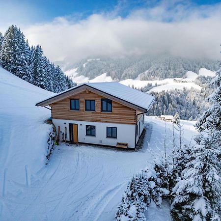 Chalet Alpenherz Villa Kirchberg in Tirol Exterior photo